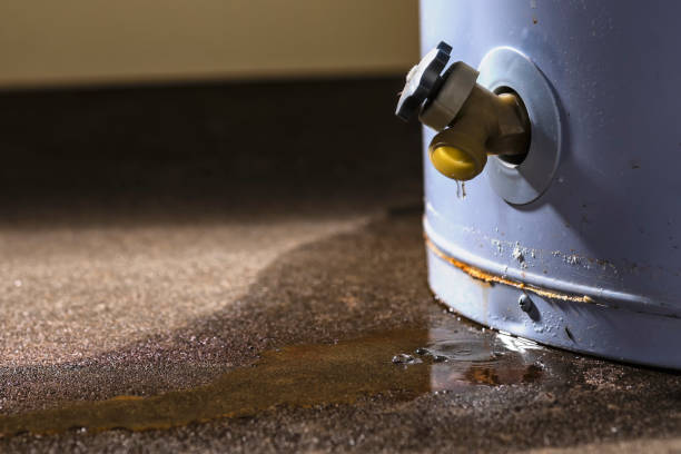 Best Fire Damage Restoration  in Forrest City, AR