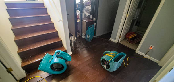 Best 24/7 water damage repair  in Forrest City, AR