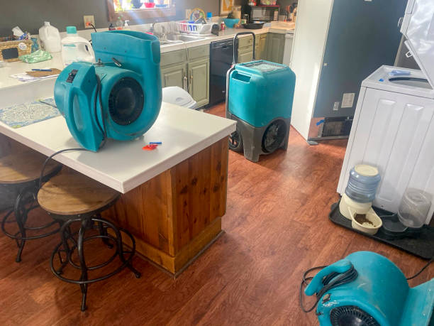 Best Emergency water damage restoration  in Forrest City, AR