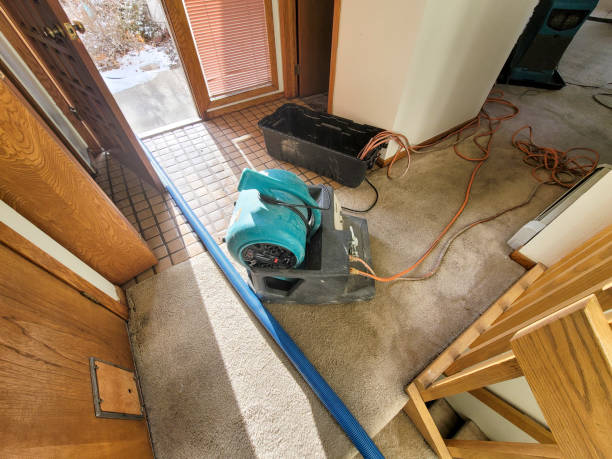 Best Basement water damage restoration  in Forrest City, AR