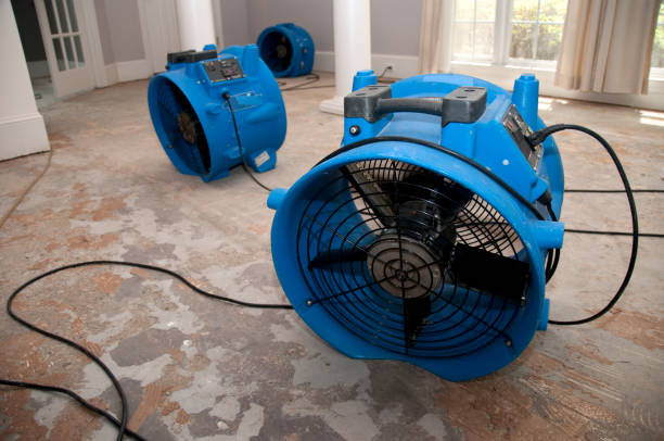 Best 24/7 water damage repair  in Forrest City, AR