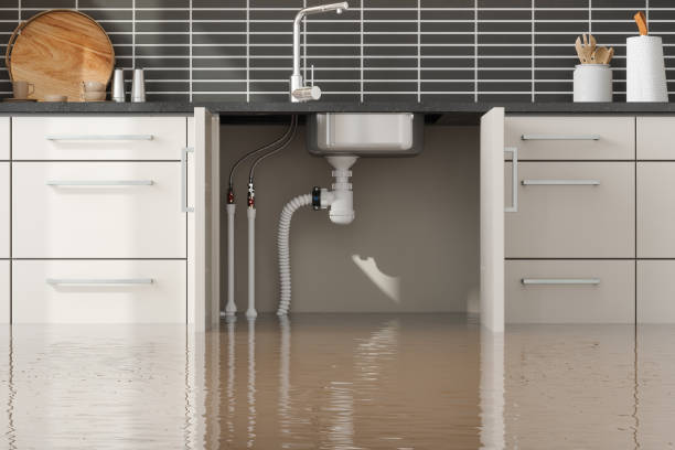 Best Flood restoration services  in Forrest City, AR