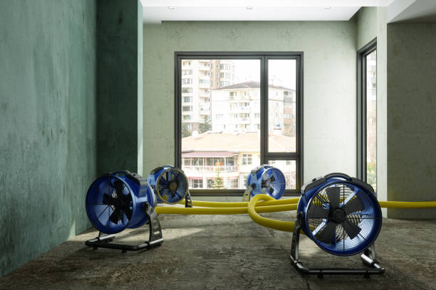 Best Professional water damage repair  in Forrest City, AR